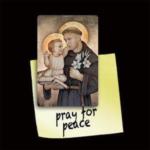 St. Anthony of Padua Magnet