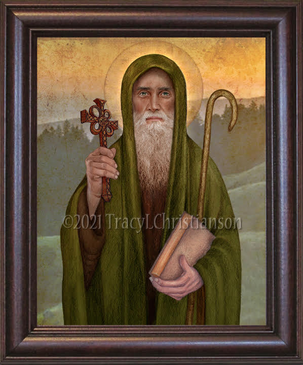 St. Finnian of Clonard Framed Art - Portraits of Saints